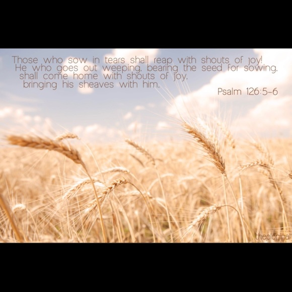 Custom designed wristlet/clutch - Picture 2 of 9